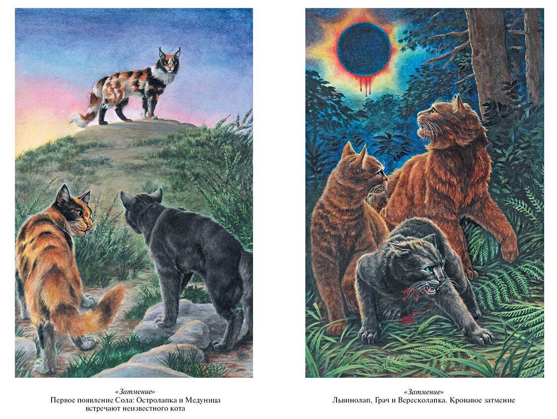 Коты воители рисунки из книг