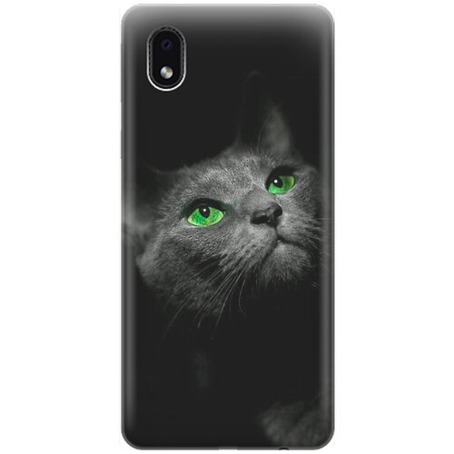 RE: PA Накладка Transparent для Samsung Galaxy A01 Core / M01 Core с принтом Зеленоглазая кошка re pa накладка transparent для samsung galaxy a01 core m01 core с принтом котенок с ухмылкой