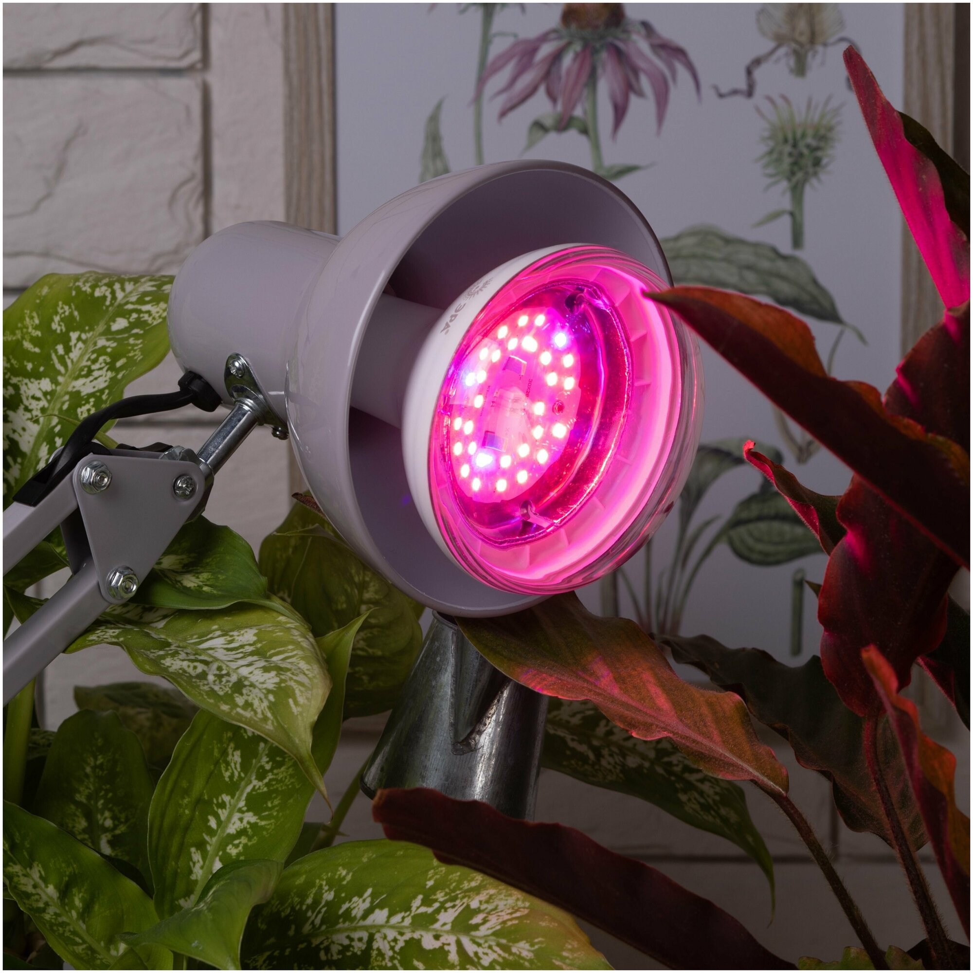 Светодиодная лампа ЭРА Fito 16W E27 для растений красно-синего спектра - фотография № 2