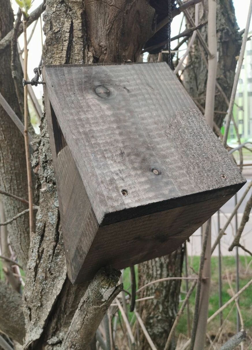 Деревянный скворечник-пищушник для птиц пищух "Пищухин дом" из дерева сосны, собранный, WS-002 - фотография № 5
