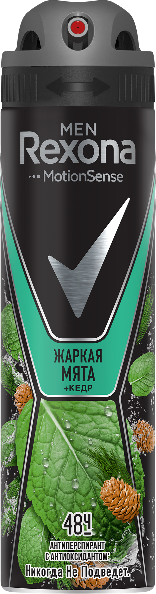 Антиперспирант-спрей мужской REXONA Men Дикая мята и кедр