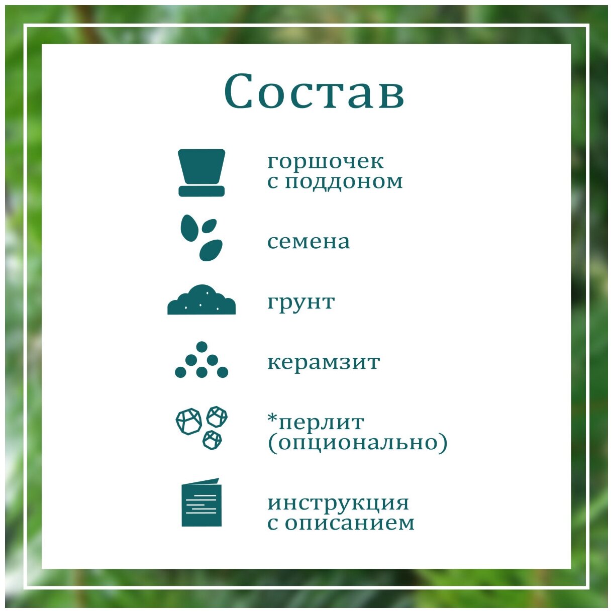 Набор, Вырасти дерево! Пихта Дугласа голубая - фото №3