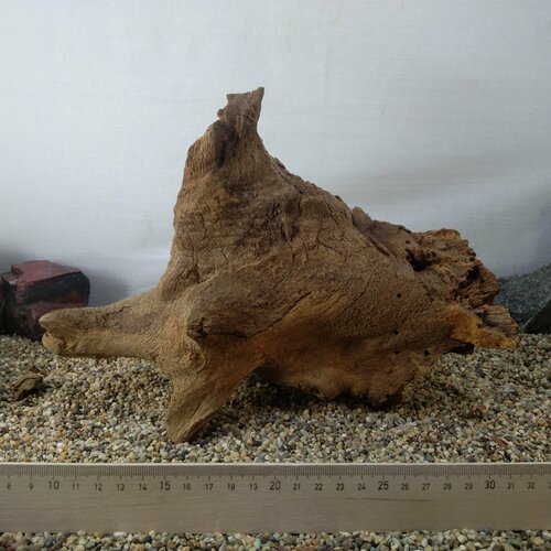 Коряга натуральная