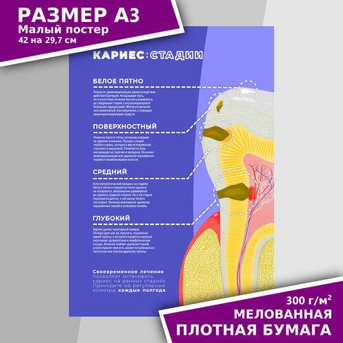 Плакат для стоматологии 