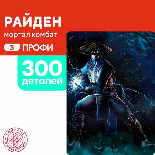 Пазл Райден 300 деталей Профи пазл девушка в городе 300 деталей профи