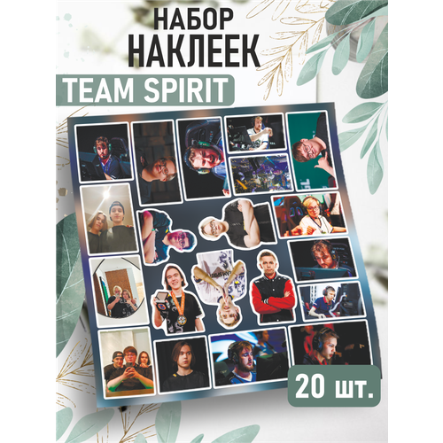 Наклейки на телефон стикеры Team Spirit киберспорт биокрим team spirit