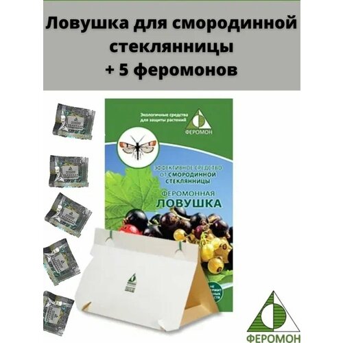 Феромонная ловушка сммородинная стеклянница и 5 феромонов