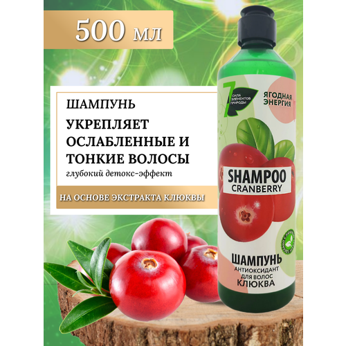 Шампунь антиоксидант для волос 