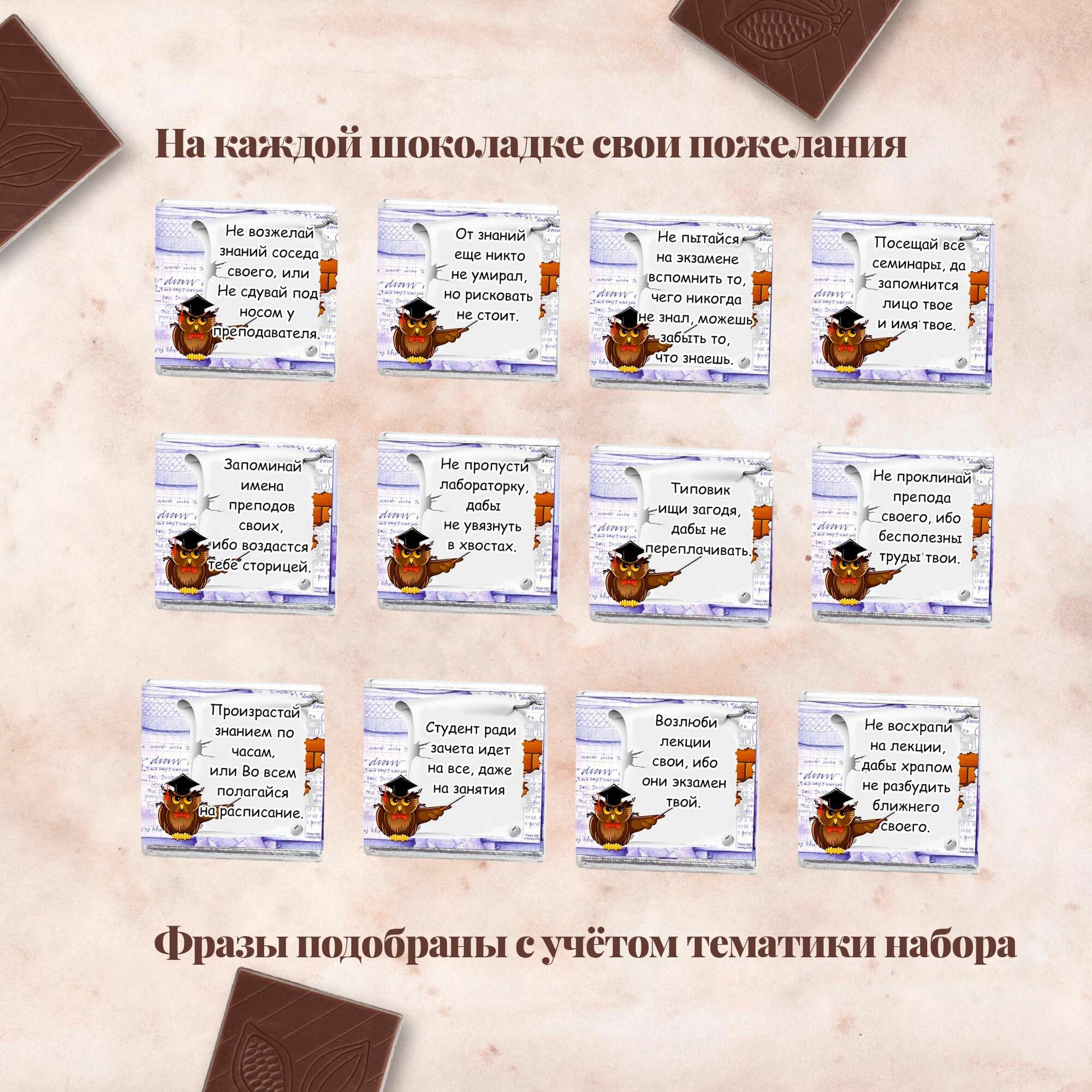 Подарочный шоколадный набор "12 заповедей студента", подарок студенту, 12 шоколадок с пожеланиями — фото 1
