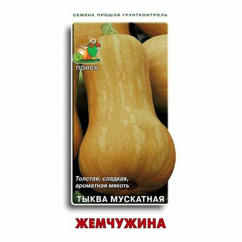 Семена Тыквы мускатной Жемчужина 10 шт