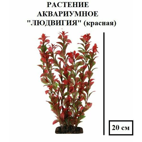 Растение Людвигия, красная, 200мм, декорация для аквариума, мягкая, красивая, не травмирует рыбу