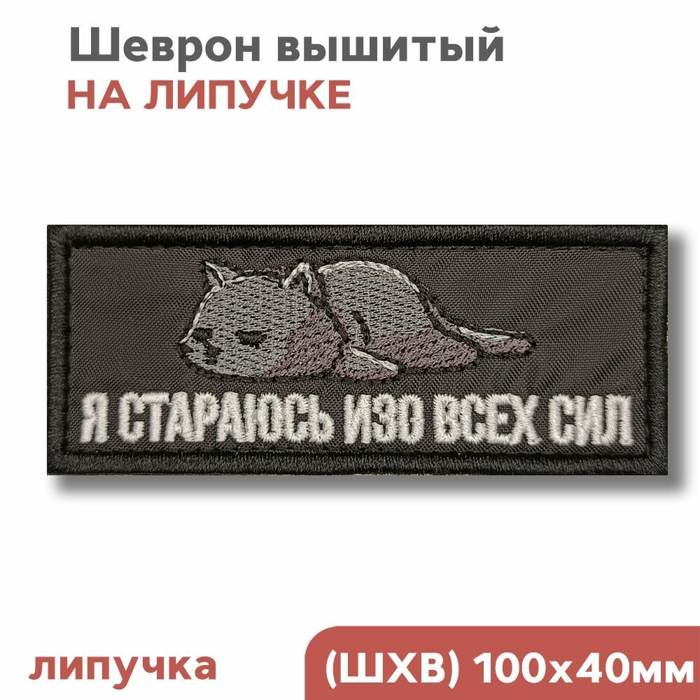 Нашивка, Шеврон на липучке велкро "Котик, Not Today, Стараюсь изо всех сил", 100х40мм, Фабрика Вышивки