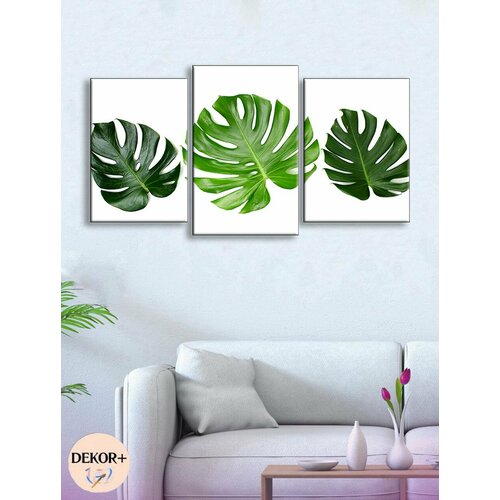 Картина на стену для интерьера модульная из 3 частей 53x100 см Е150 Листья монстеры 1190₽