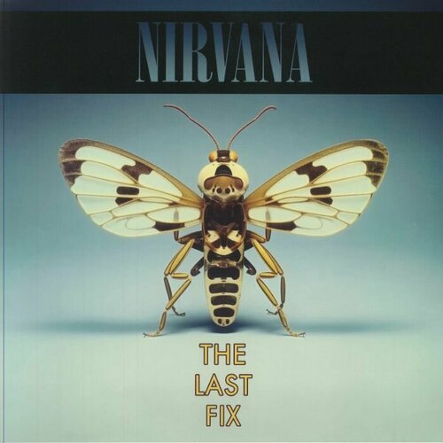 Виниловая пластинка Nirvana - The Last Fix 2 LP 4590₽