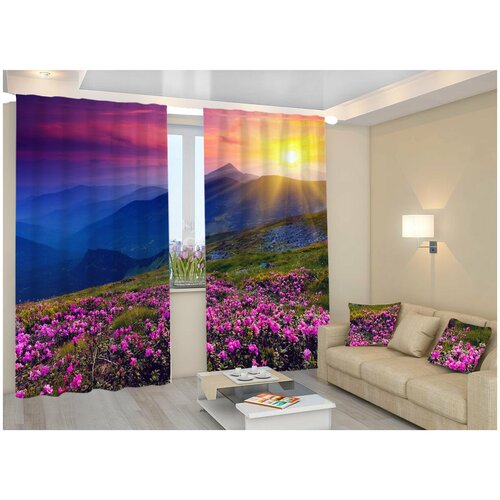 Фотошторы Блэкаут 