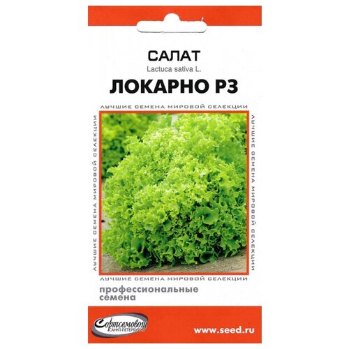 Салат Локарно РЗ, 20 семян семена дом семян салат афицион рз 20 шт