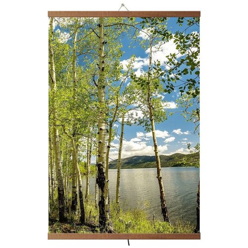 Пленочный инфракрасный обогреватель-картина Birch Grove с термостатом 500 Вт 144000₽