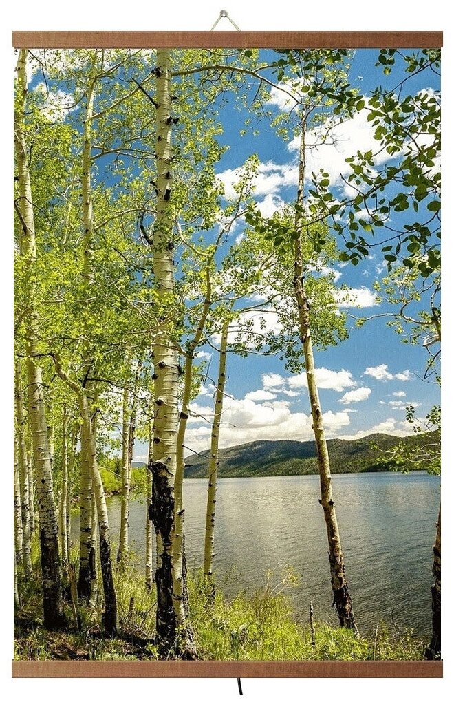 Пленочный инфракрасный обогреватель-картина "Birch Grove" с термостатом, 500 Вт - фотография № 1