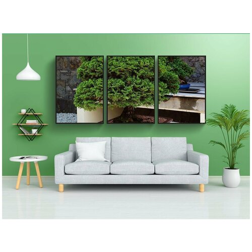 фото Набор модулных постеров для интерьера "бонсай, дерево, завод" 60x90 см. в тубусе, без рамки lotsprints