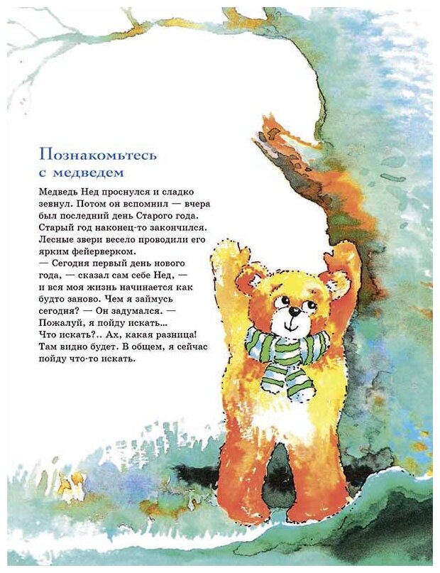 301 история о лесных медведях (Баккер Виллеке) - фото №3