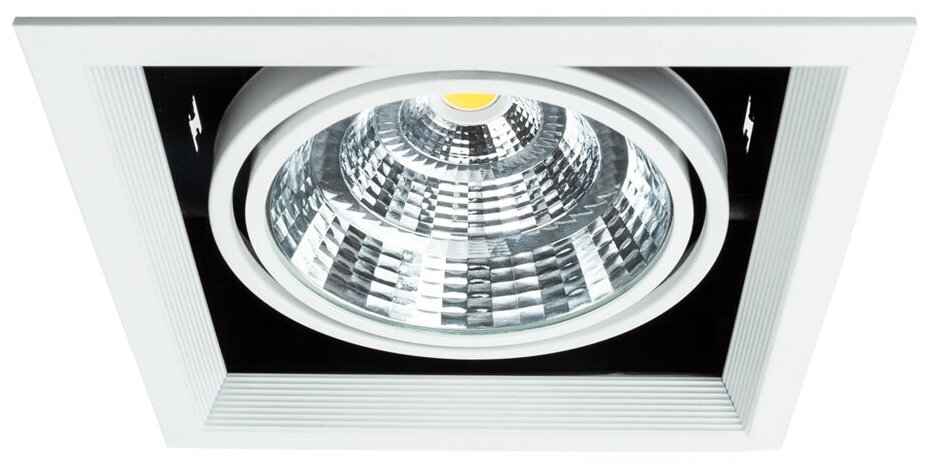 Встраиваемый светильник Arte Lamp Merga A8450PL-1WH