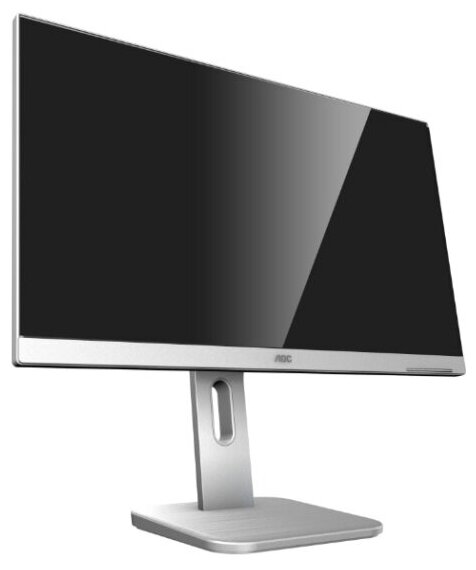 Монитор для дома и офиса AOC Professional X24P1GR