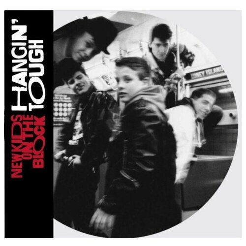 NEW KIDS ON THE BLOCK HANGIN TOUGH National Album Day 2020 Limited Picture Vinyl 12 винил