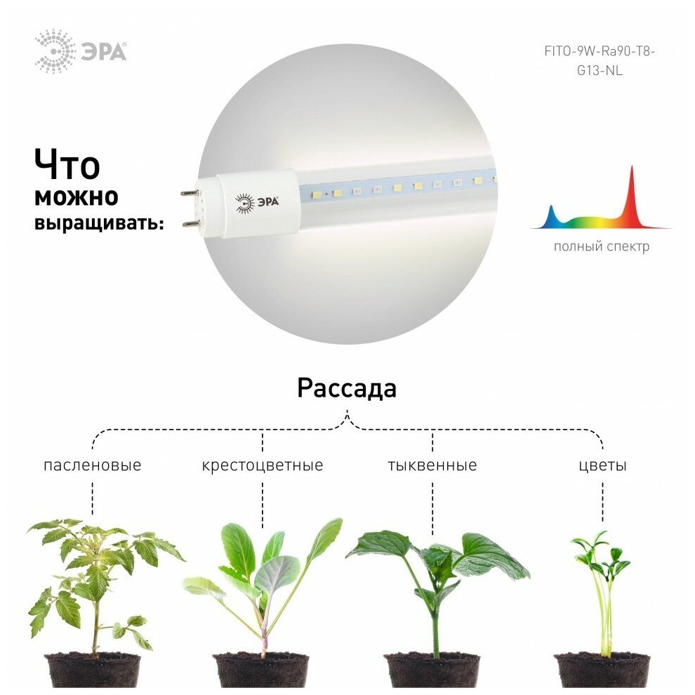 Фитолампа Для Растений Светодиодная Эра Fito-9w-Ra90-Т8-G13-Nl Полного Спектра 9 Вт Т8 G13 Era Б0042988 ЭРА арт. Б0042988 - фотография № 18