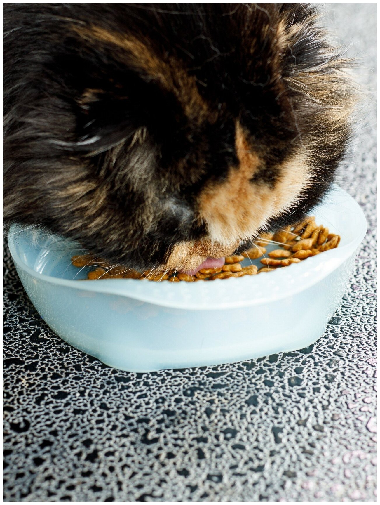 Лакомство для кошек Japan Premium Pet PRESENT с низким содержанием жира для контроля веса на основе японского тунца бонито, 240 г - фотография № 13