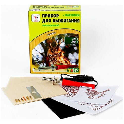 Энис-в 40/220.Инструмент электронагревательный. Прибор для выжигания многоцелевой.(Птицы), арт.Р0148