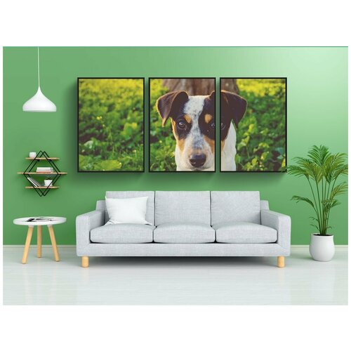 фото Набор модулных постеров для интерьера "собака, ходьба собаки, домашний питомец" 60x90 см. в тубусе, без рамки lotsprints