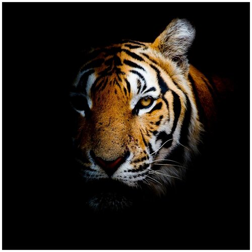 Картина на стекле «Непобедимый тигр» 40х40 см