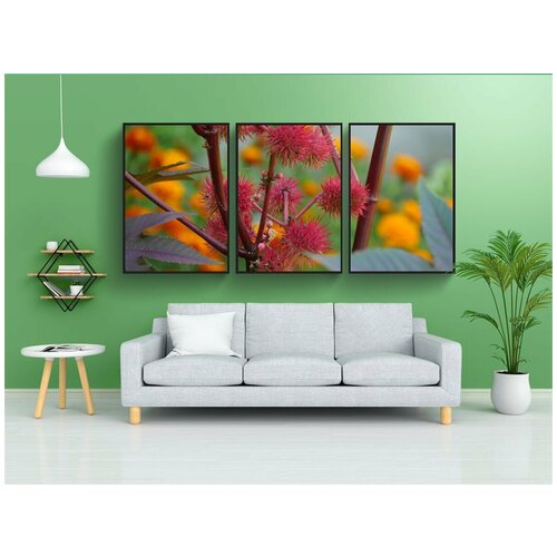 фото Набор модулных постеров для интерьера "касторка, чудодерево, фрукты" 60x90 см. в тубусе, без рамки lotsprints