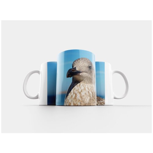 фото Кружка "ювенильный чайка, птица, животное" 320 мл lotsprints