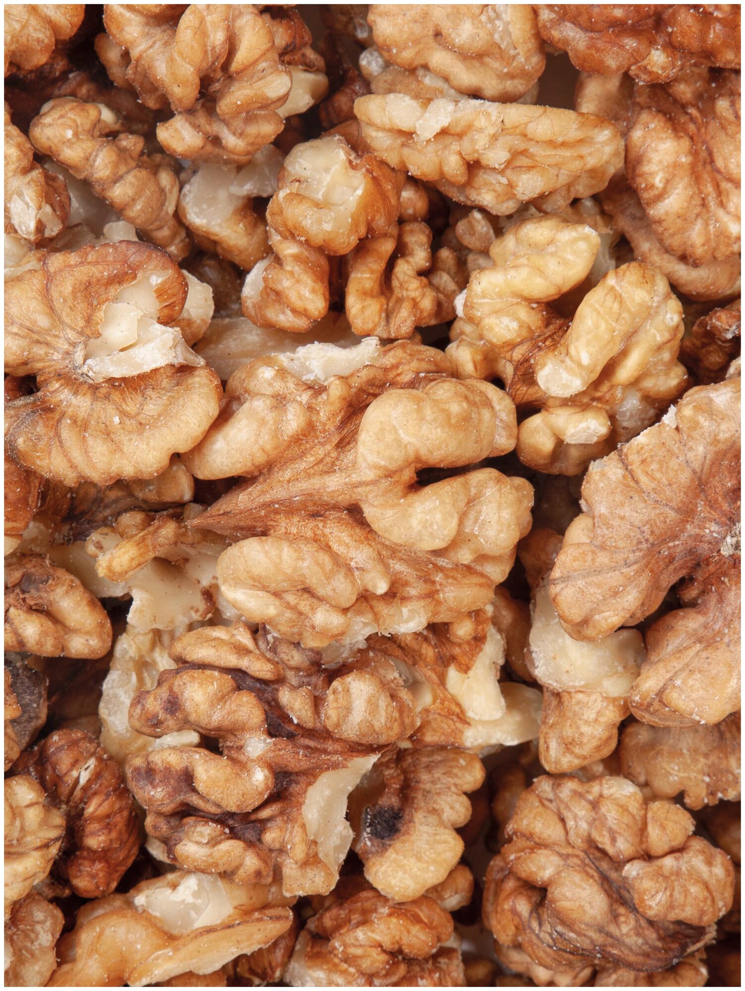 Грецкие орехи очищенные Orexland, 1 кг - фотография № 5