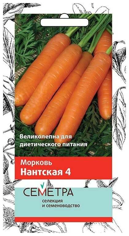 Семна Морковь Нантская 4 Поиск 2 гр