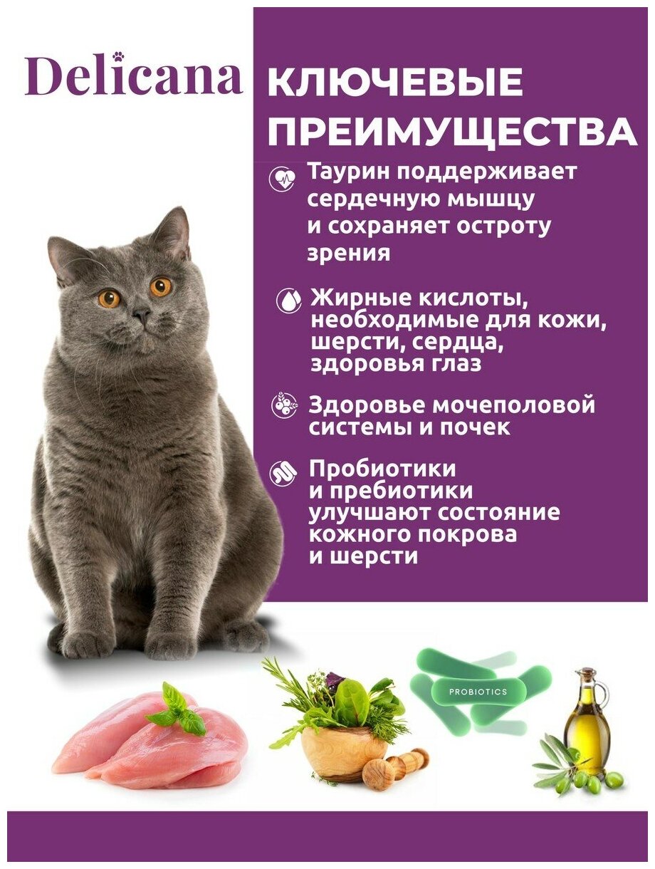 DELICANA Корм сухой для кошек с чувствительным пищеварением Индейка 400г - фотография № 2