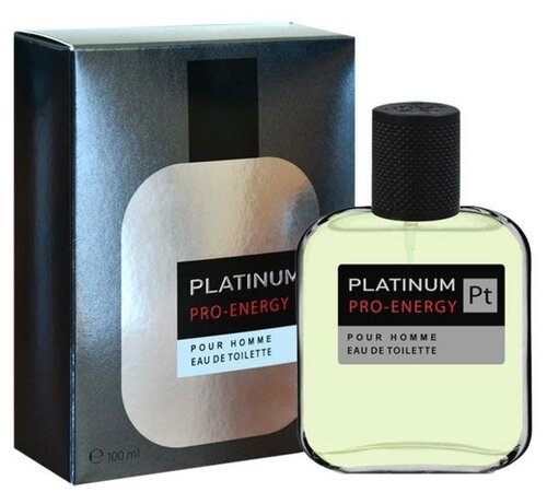 Туалетная вода мужская Pro-Energy Platinum, 100 мл (по мотивам Egoiste Platinum (Chanel)