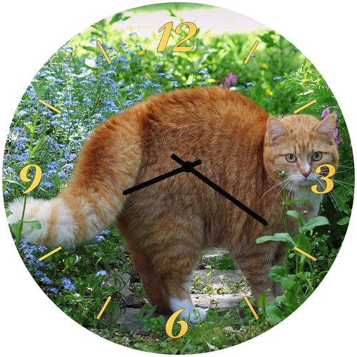 фото Svs настенные часы svs 4002064 кот в позиции обороны