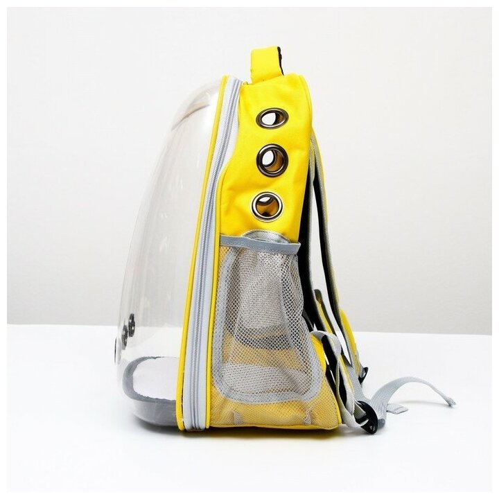 Рюкзак для переноски животных "Котик", прозрачный, 34 х 25 х 40 см, жёлтый 6971554 - фотография № 3