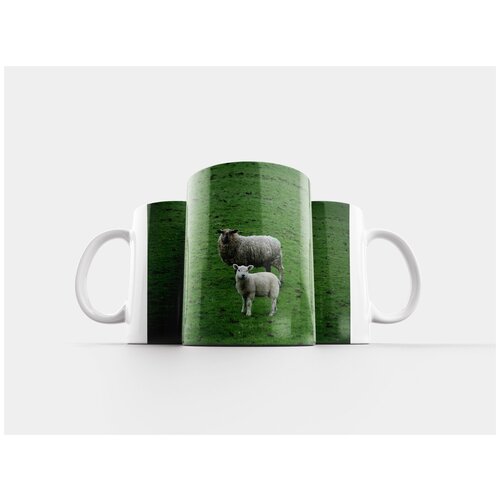 фото Кружка "овец, ягненок, поле" 320 мл lotsprints