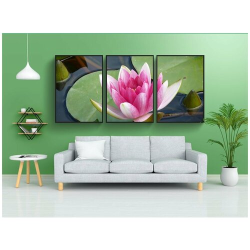 фото Набор модулных постеров для интерьера "водяная лилия, водное растение, цветок" 60x90 см. в тубусе, без рамки lotsprints