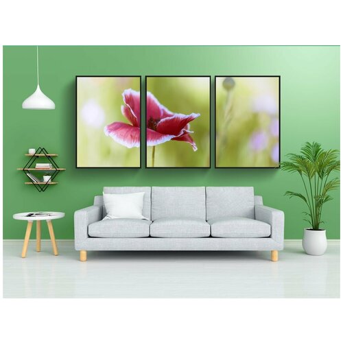фото Набор модулных постеров для интерьера "мак, seidenmohn, цвести" 60x90 см. в тубусе, без рамки lotsprints