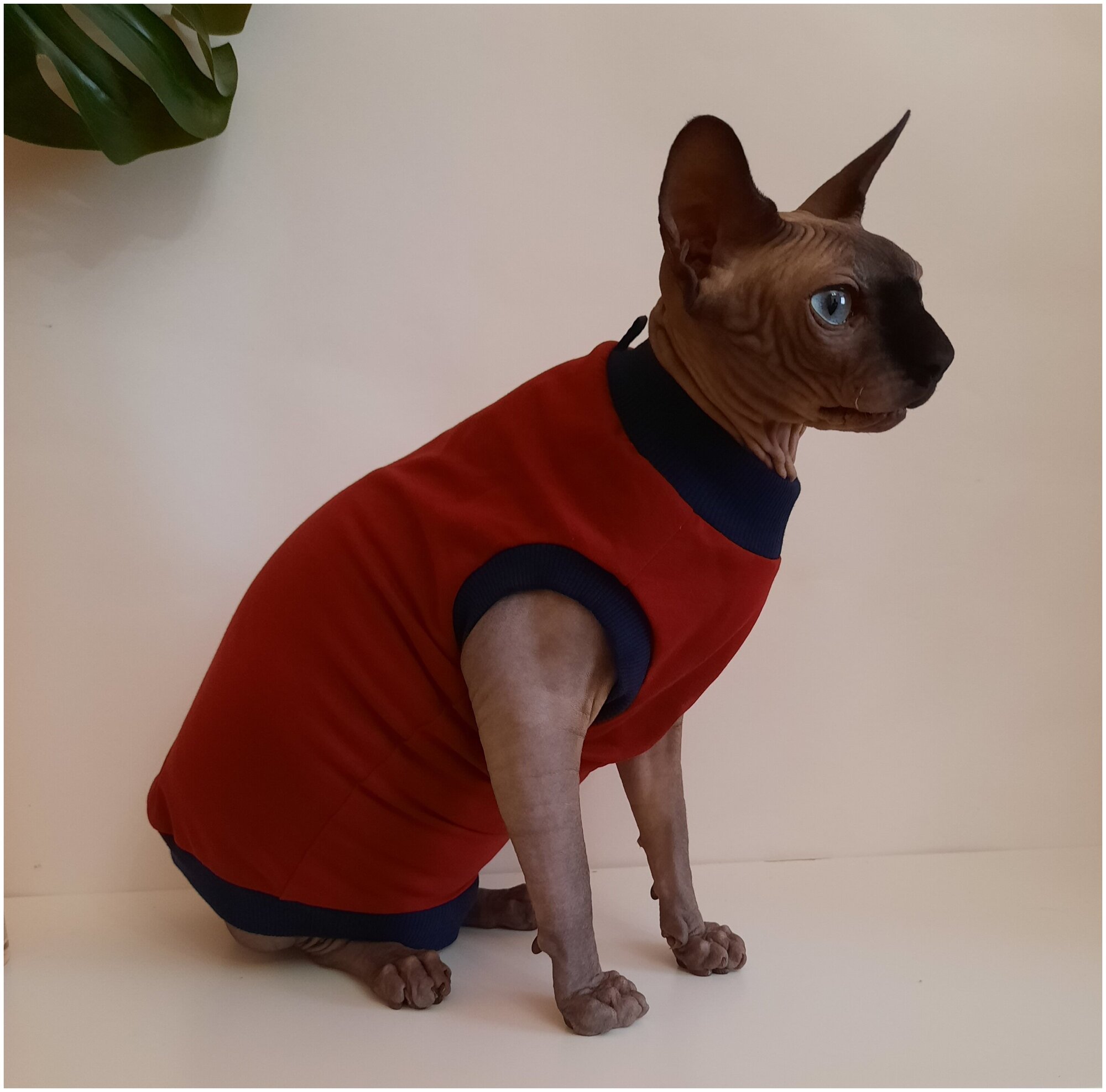 Свитшот для кошек, размер 40 (длина спины 40см), цвет бордовый / толстовка свитшот свитер для кошек сфинкс / одежда для животных - фотография № 18