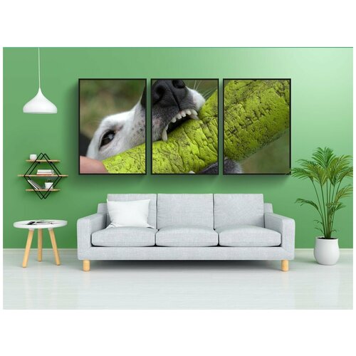 фото Набор модулных постеров для интерьера "джек рассел, собака, терьер" 60x90 см. в тубусе, без рамки lotsprints