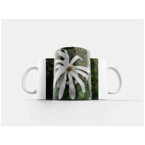 фото Кружка "белый, цвести, весна" 320 мл lotsprints