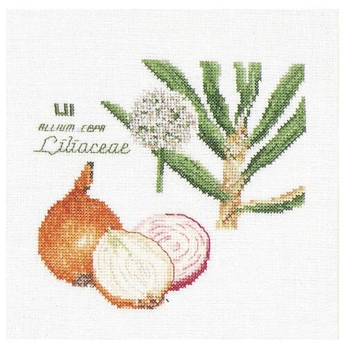 Thea Gouverneur Набор для вышивания Лук (3042), 17 х 16 см fruit 7 cross stitch kit aida 14ct 11ct count print canvas stitches embroidery diy handmade