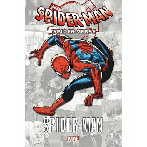 Spider-Man: Spider-Verse - Amazing Spider-Man (Stan Lee)