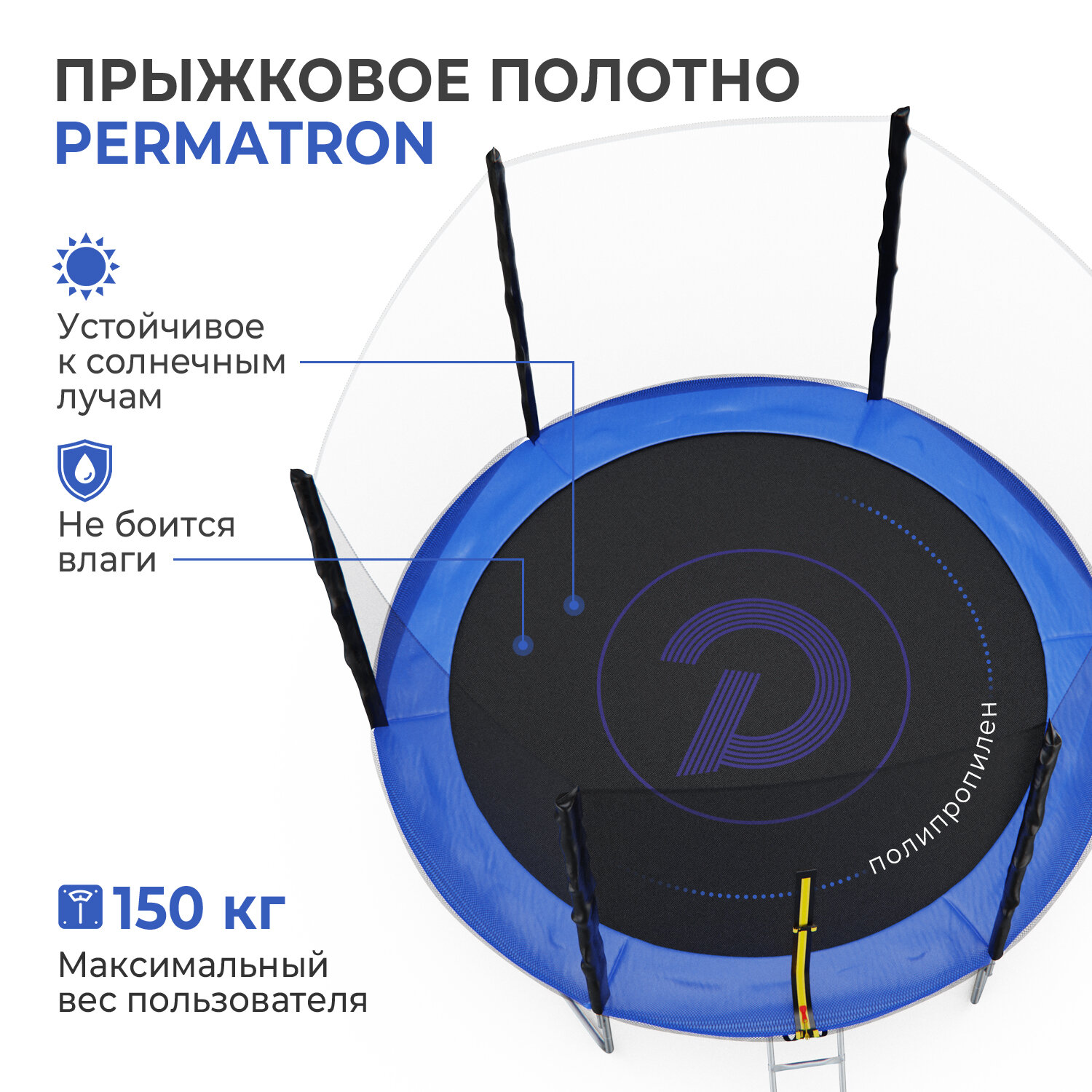 Детский каркасный батут DFC Pelpo 10 футов с лестницей и защитной сеткой, синий, 305 см, нагрузка 150 кг