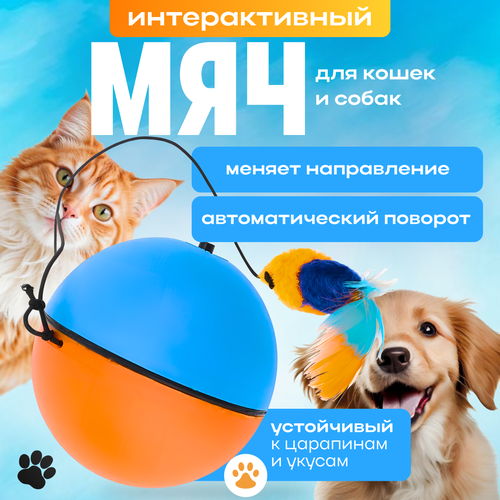 голубой, оранжевый